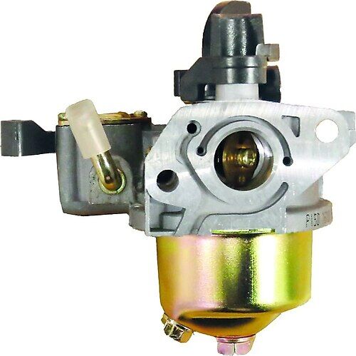 ALGARDEN SU MOTORU 3,5 HP KARBÜRATÖR